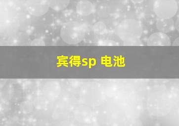 宾得sp 电池